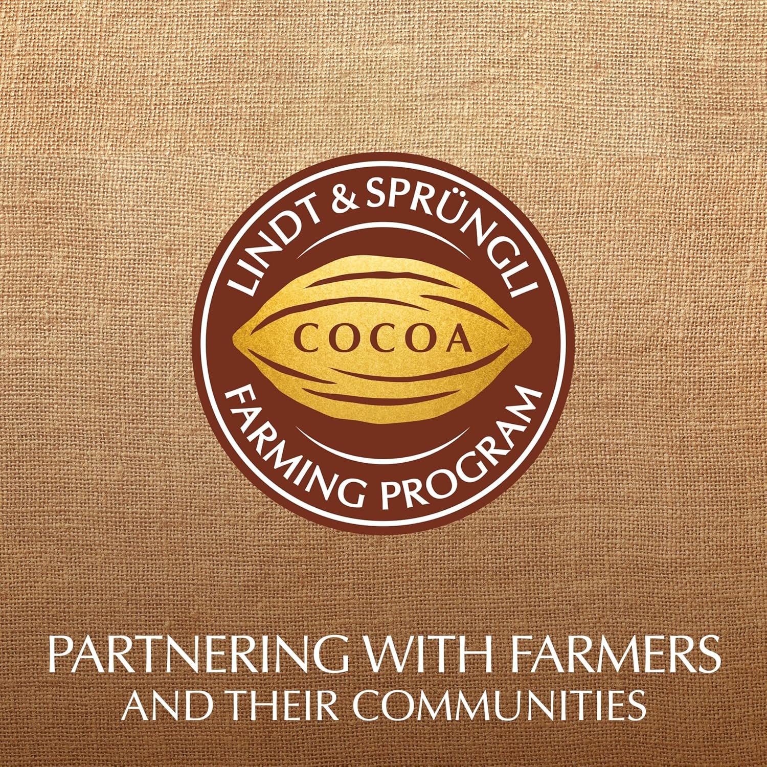 Lindt Mini Pralines, Assorted Chocolate Pralines with Premium Filling, Christmas Candy, 36 Count, 6.2 oz Box - Image 9